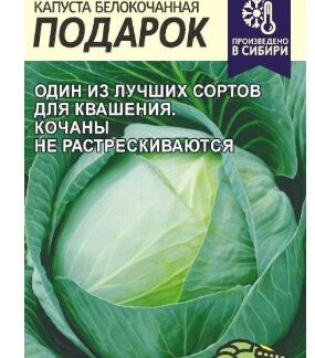 Капуста Подарок Семена Алтая