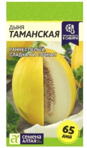 Дыня Таманская