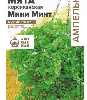Мята Мини минт декоративная корсиканская