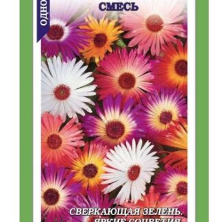 Мезембриантемум смесь