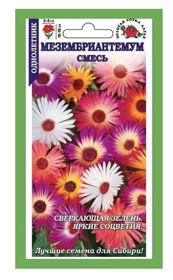 Мезембриантемум смесь