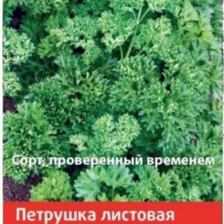 Петрушка кудрявая Мооскраузе 2