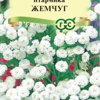 Тысячелистник таволговый Жемчуг