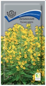 Лизимахия Русское золото