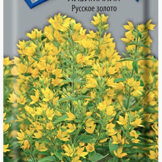 Лизимахия Русское золото