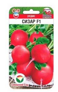 Редис Сизар F1