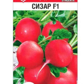 Редис Сизар F1