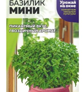 Зелень Базилик Мини