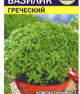 Базилик Греческий