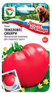 Томат ТЯЖЕЛОВЕС СИБИРИ