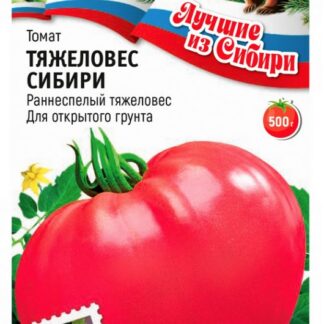 Томат ТЯЖЕЛОВЕС СИБИРИ
