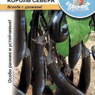 Баклажан F1 Король севера