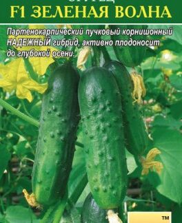 Огурец F1 Зеленая волна