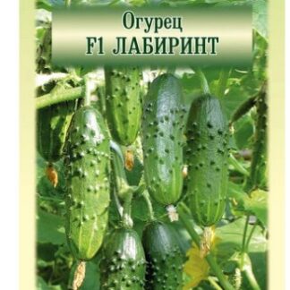 Огурец "Манул" Лабиринт F1