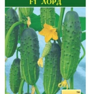 Огурец "Манул" Лорд F1