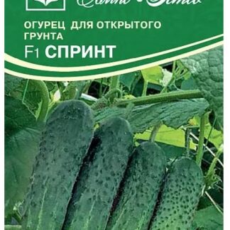 Огурец Спринт F1
