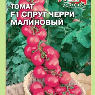 Томат Спрут черри малиновый F1