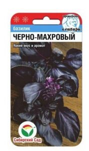 Базилик Черно махровый