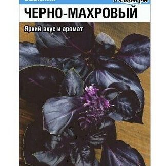 Базилик Черно махровый