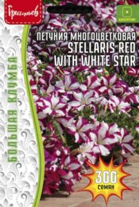Петуния Stellaris Red With White Star многоветковая