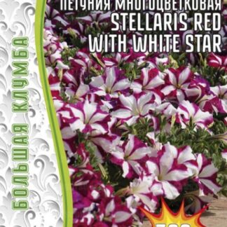 Петуния Stellaris Red With White Star многоветковая