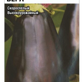 Баклажан Вера