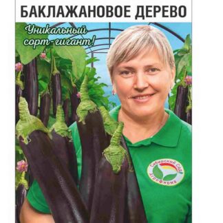 Баклажан Баклажановое дерево