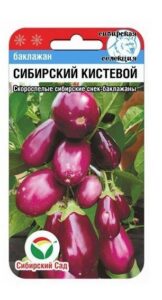 Баклажан Сибирский кистевой