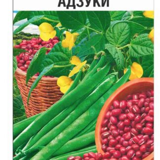 Вигна Адзуки