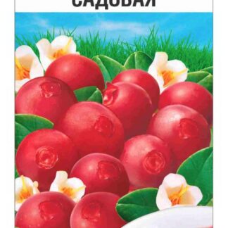 Брусника Садовая