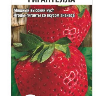 Земляника Гигантелла