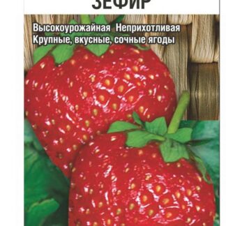Земляника Зефир
