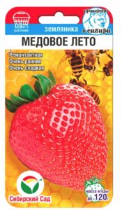 Земляника Медовое лето
