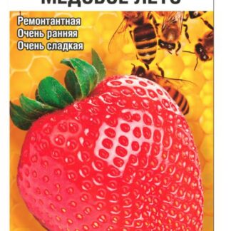 Земляника Медовое лето