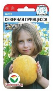Дыня Северная принцесса