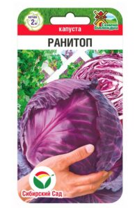 Капуста краснокочанная Ранитоп