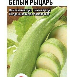 Кабачок Белый рыцарь