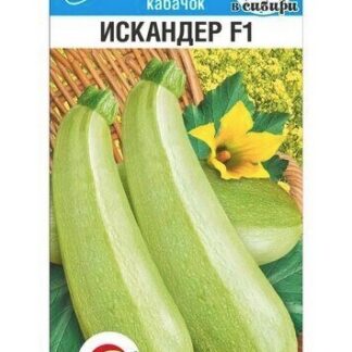 Кабачок Искандер F1  (Сиб Сад)