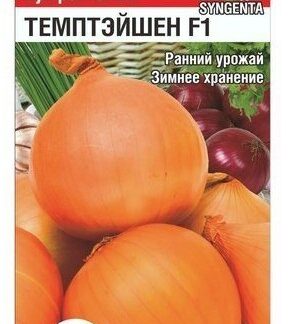 Лук репчатый Темптэйшен F1