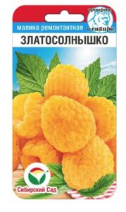 Малина Златосолнышко