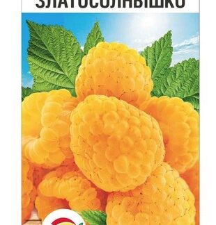 Малина Златосолнышко