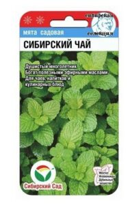 Мята Сибирский чай