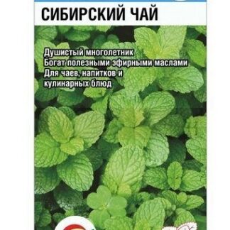 Мята Сибирский чай