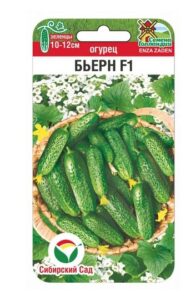 Огурец Бьерн F1