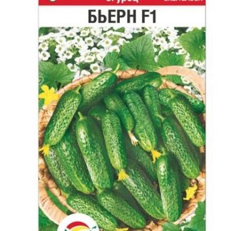 Огурец Бьерн F1
