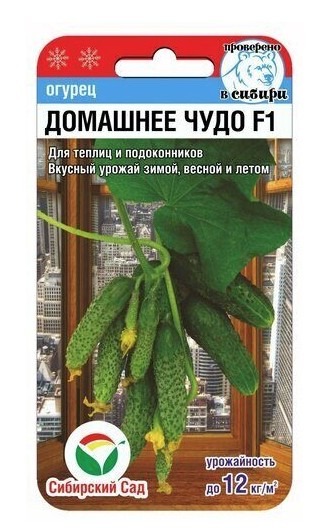 Огурец Домашнее чудо F1
