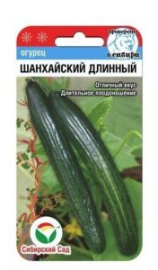 Огурец Шанхайский длинный