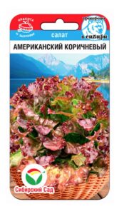 Салат Американский коричневый