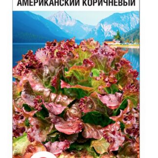 Салат Американский коричневый