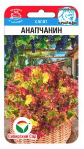 Салат Анапчанин